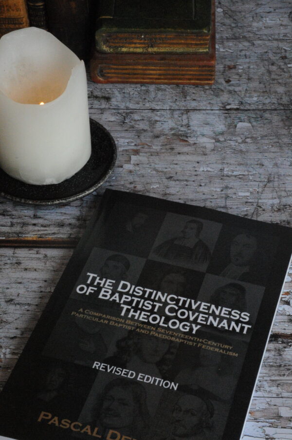 The Distinctiveness of Baptist Covenant Theology (Revised Edition) - Image 4