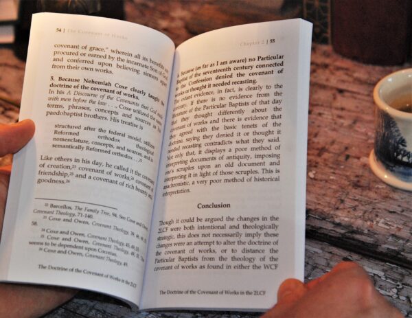 The Covenant of Works - Image 2