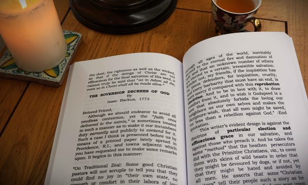 The Doctrine of Sovereign Grace - Image 3